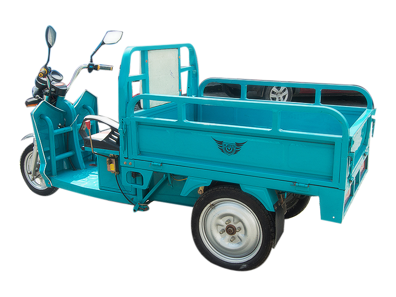 Plaudit E- Cargo- Rickshaw