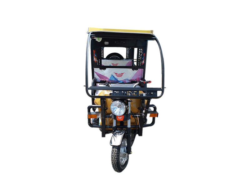Plaudit 100 Plus E- Rickshaw